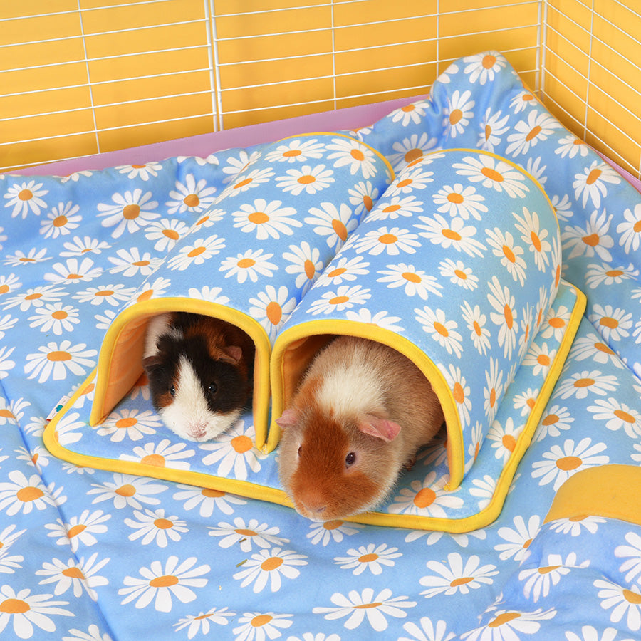 Double Guinea Pig Tunnel | Daisy