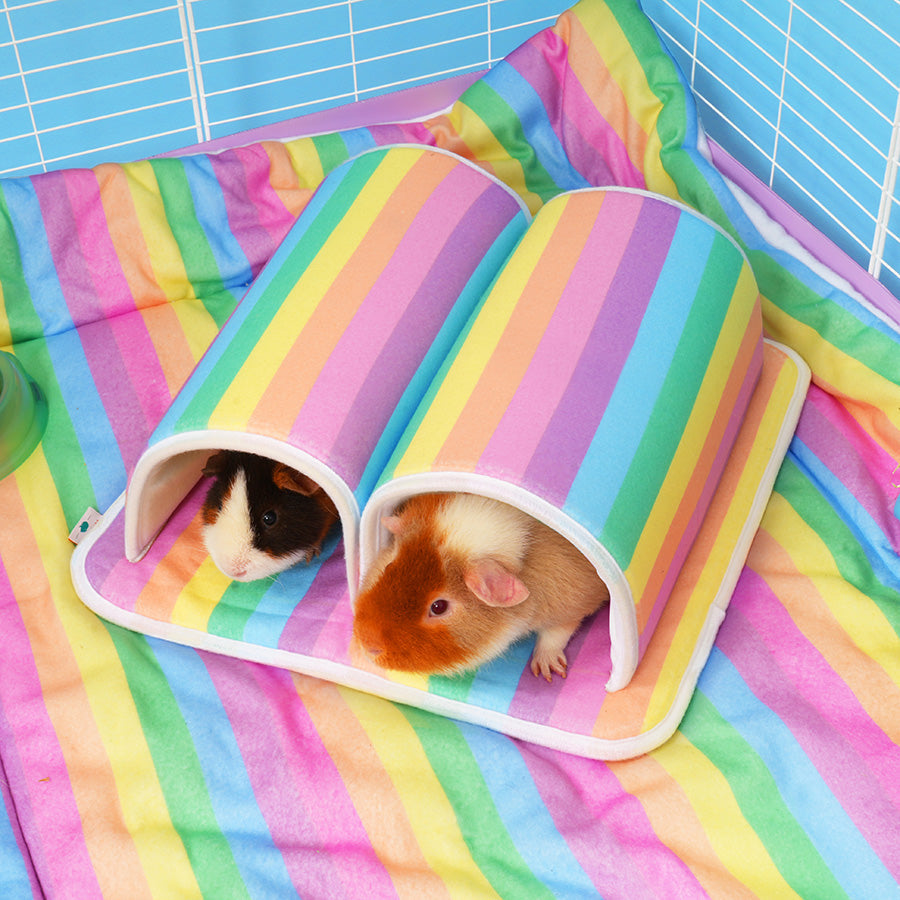 Guinea Pig Double Tunnel | Rainbow Collection