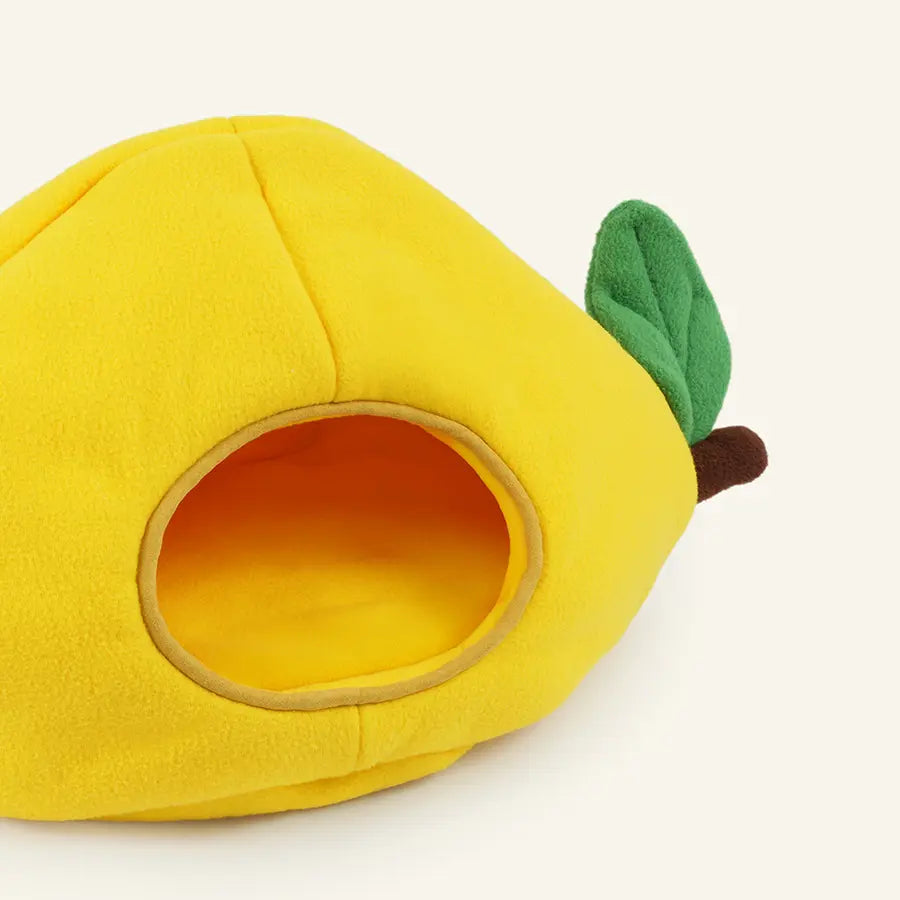 Lemon Guinea Pig Hide | Amalfi Collection
