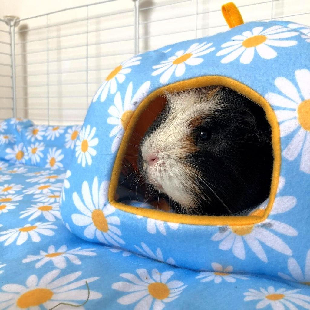 Fleece Hide for Guinea Pigs | Daisy Collection