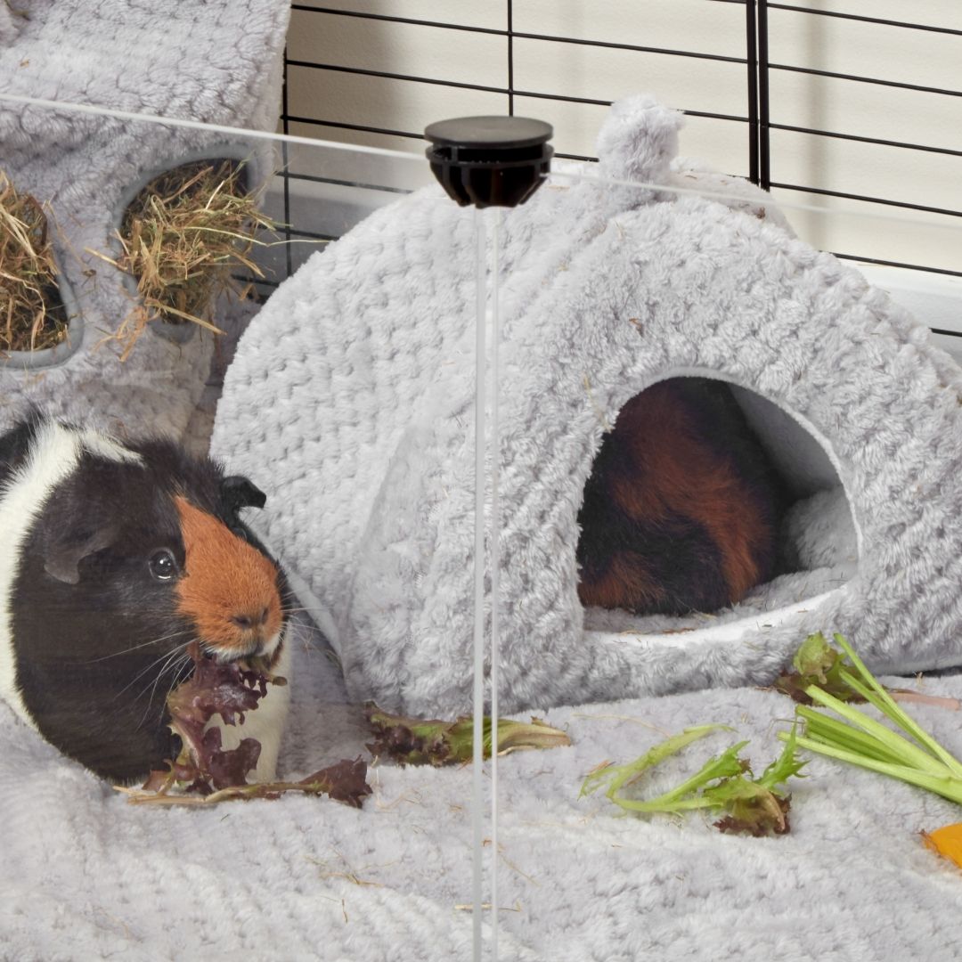 Extra Soft Fleece Hide for Guinea Pigs | Gray